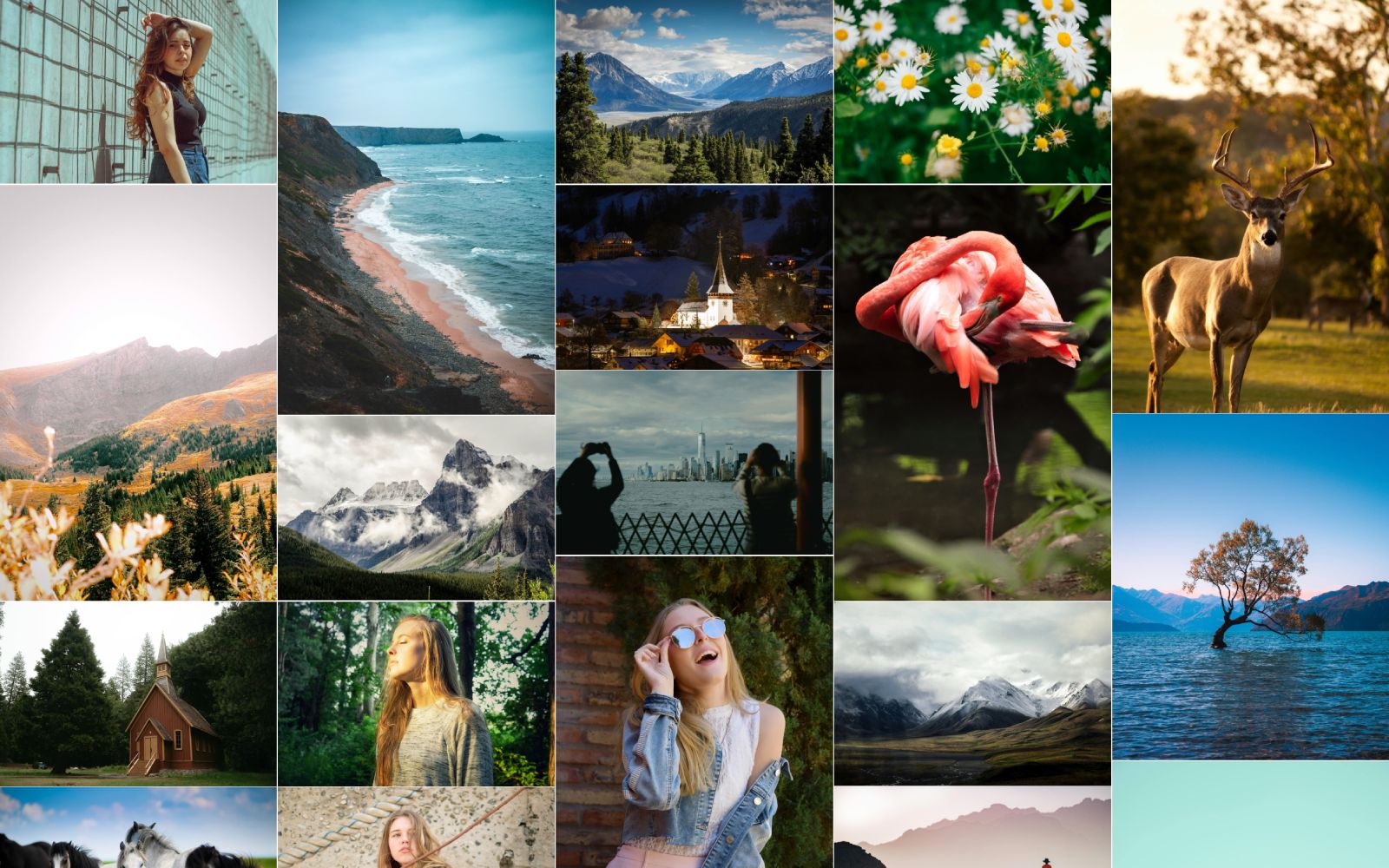 Best Free WordPress Gallery Plugin 2026 (Lightbox & Video)