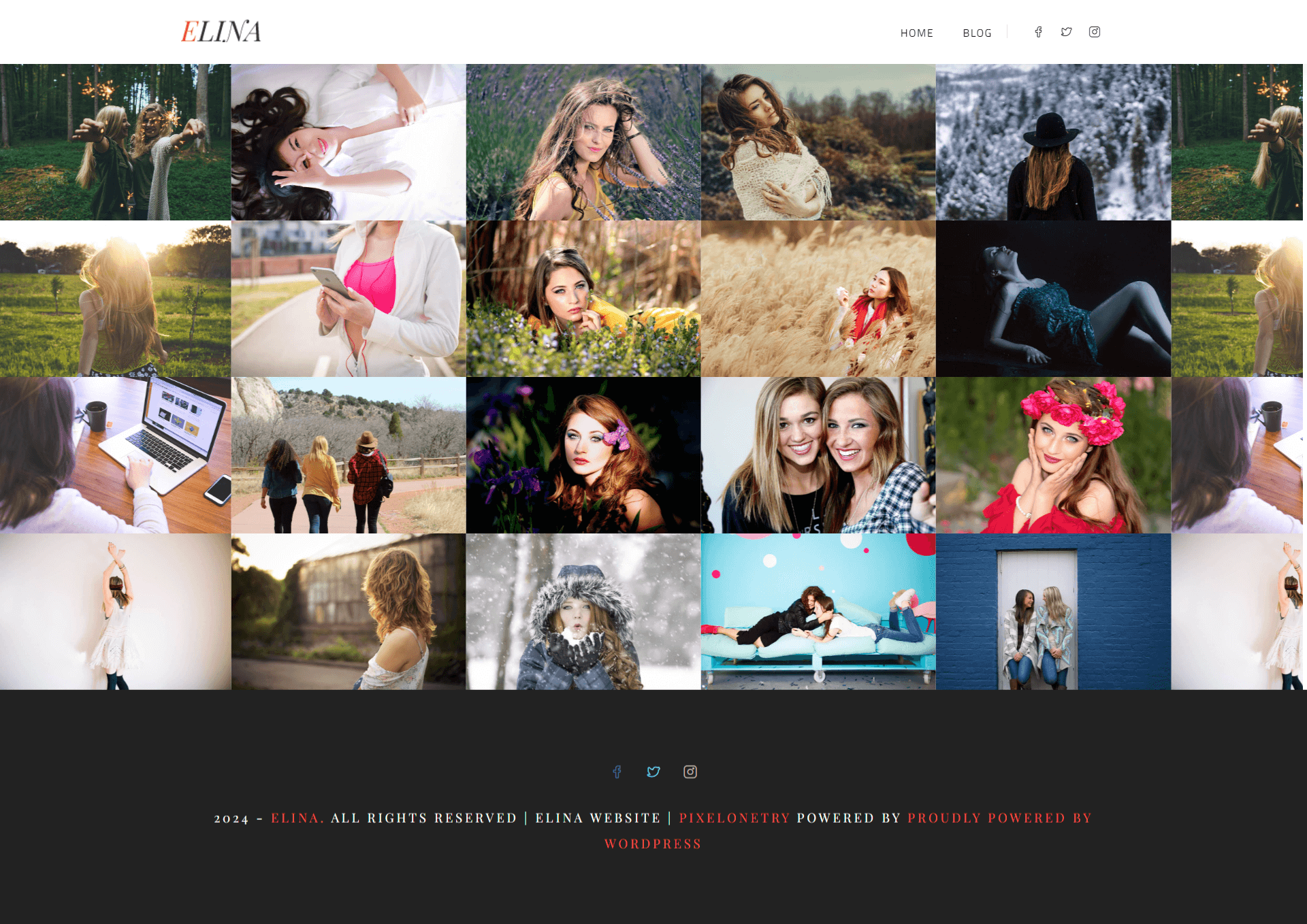 ElinaLite - Portfolio Gallery WordPress Theme